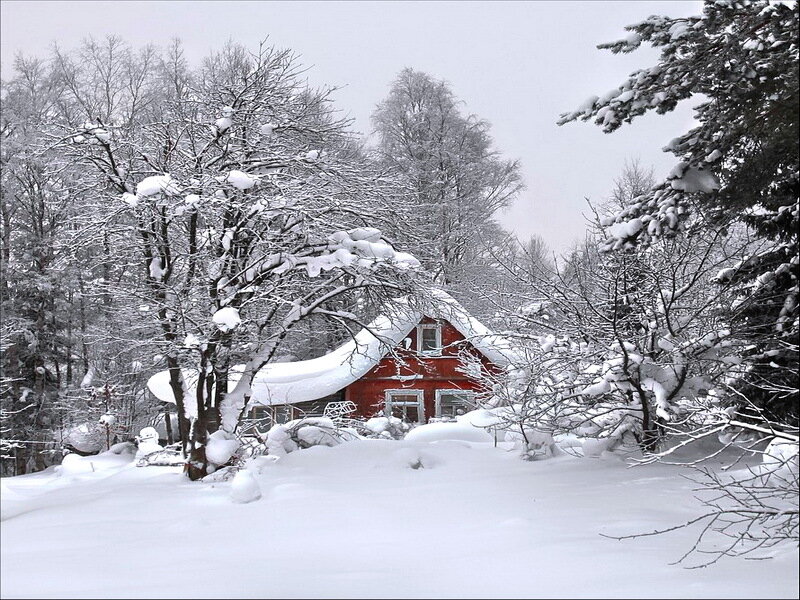 Red Cabin in Snow — White, Serene, Winter, Photograph, Trees