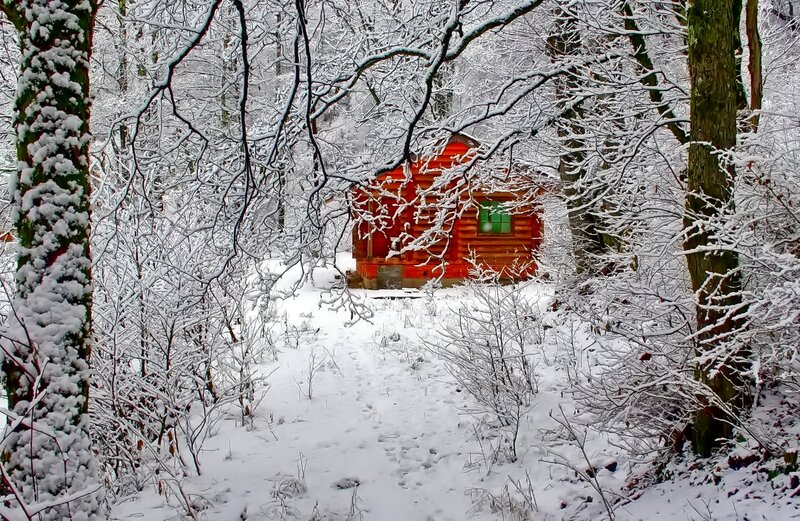 Red Cabin in Snow — White, Serene, Winter, Photograph, Trees, Window