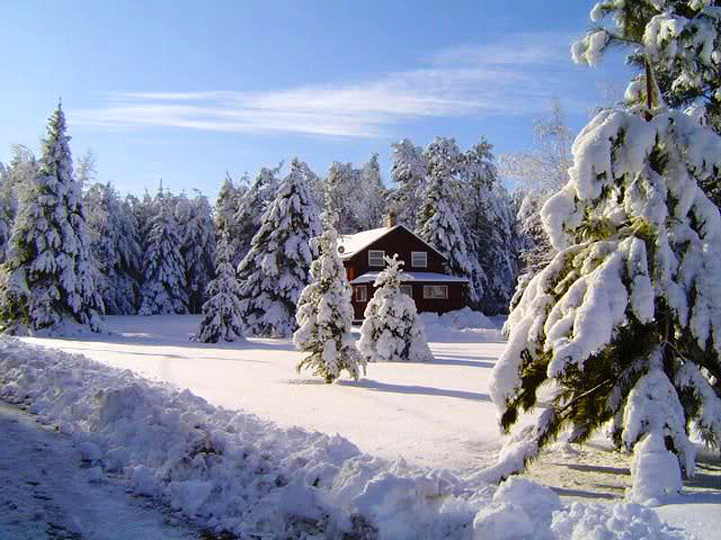 Red Cabin in Snow — White, Serene, Winter