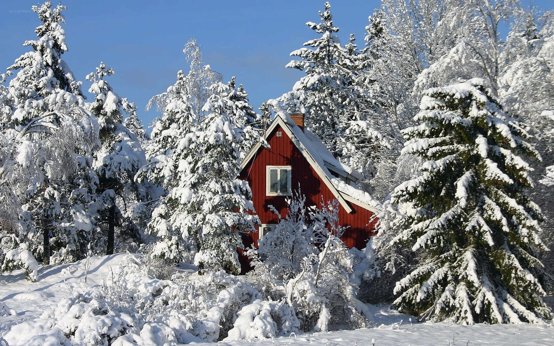 Red cabin in snowy forest