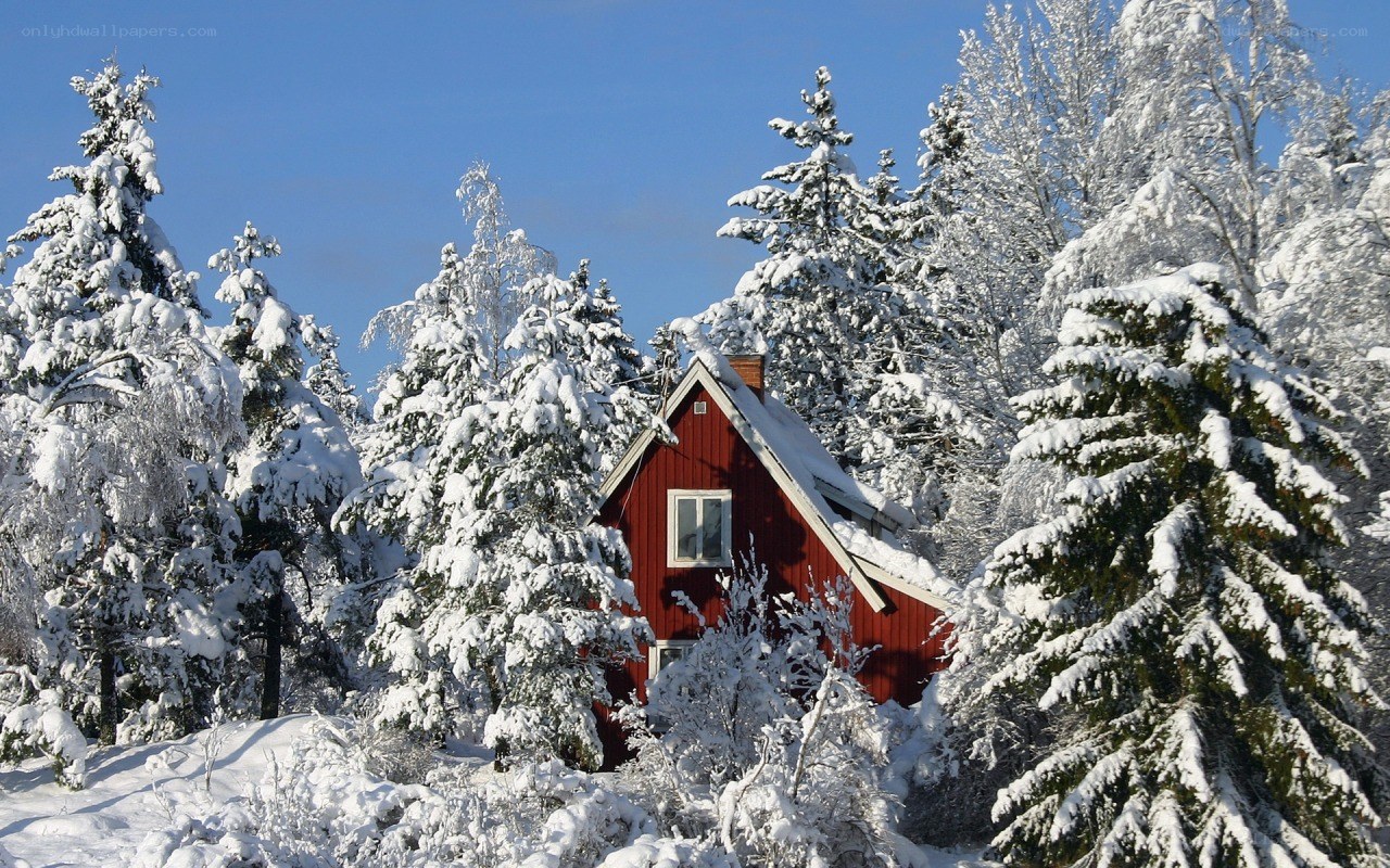 Red cabin in snowy forest