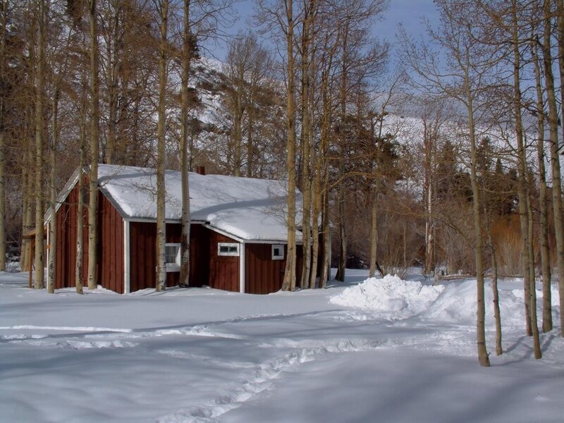 Red cabin in snowy forest