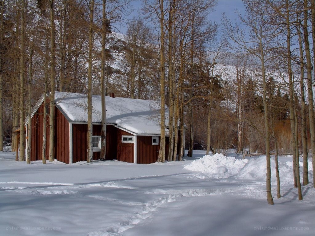 Red cabin in snowy forest