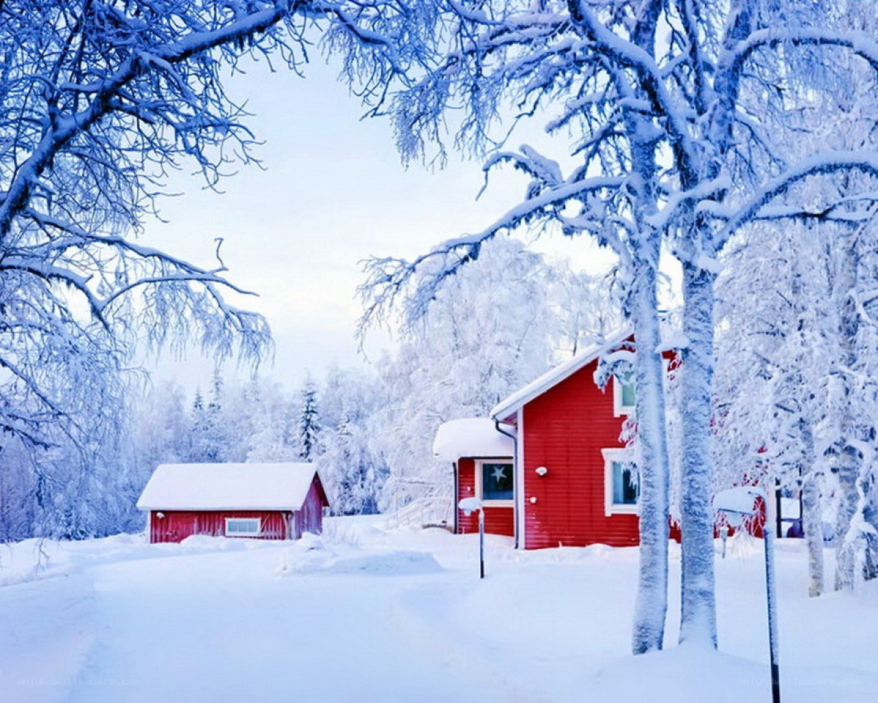 Red cabin in snowy forest