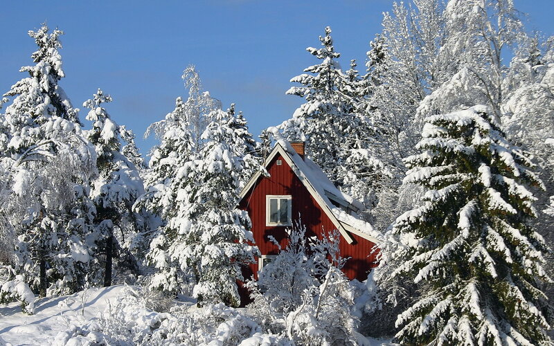 Red cabin in snowy forest