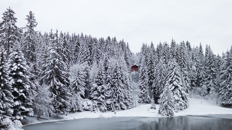 Red Cabin in Snowy Forest — White, Serene, Winter