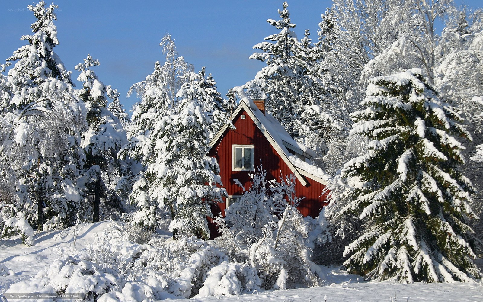 Red cabin in snowy forest