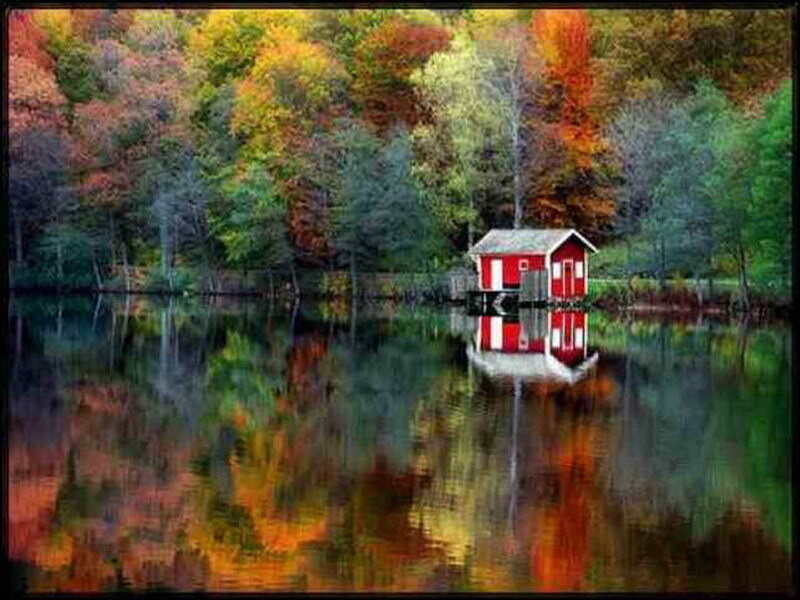 Red cabin on autumn lake