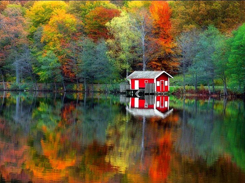 Red cabin on autumn lake