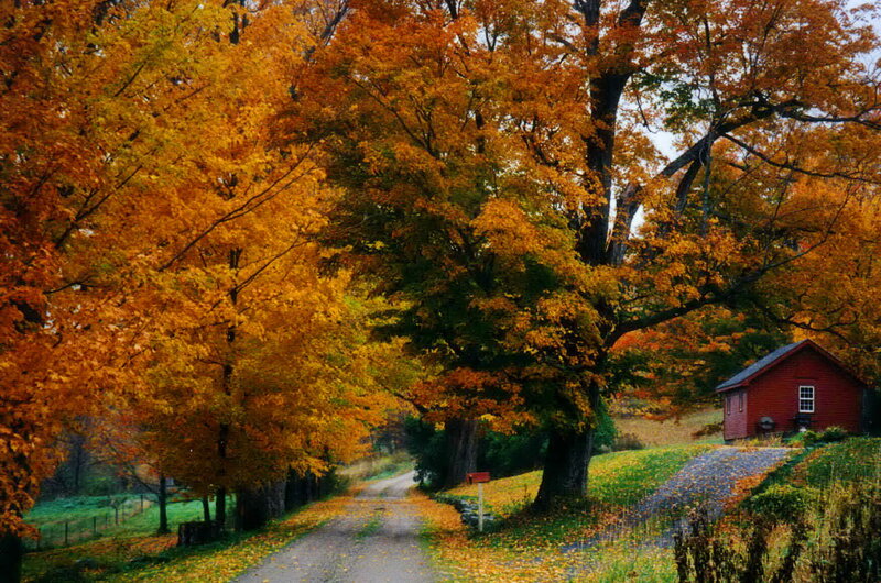 Red Cabin on Autumn Road