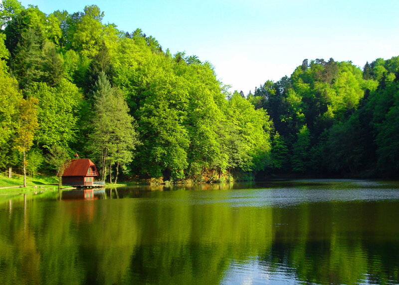 Red Cabin on Lake — Green, Serene