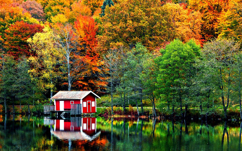 Red Cabin on Lake — Serene