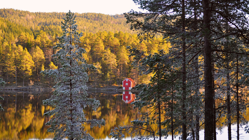 Red Cabin on Lake Shore — Green