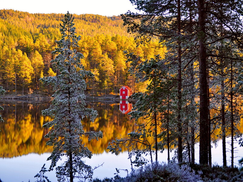 Red Cabin on Lake Shore — Yellow