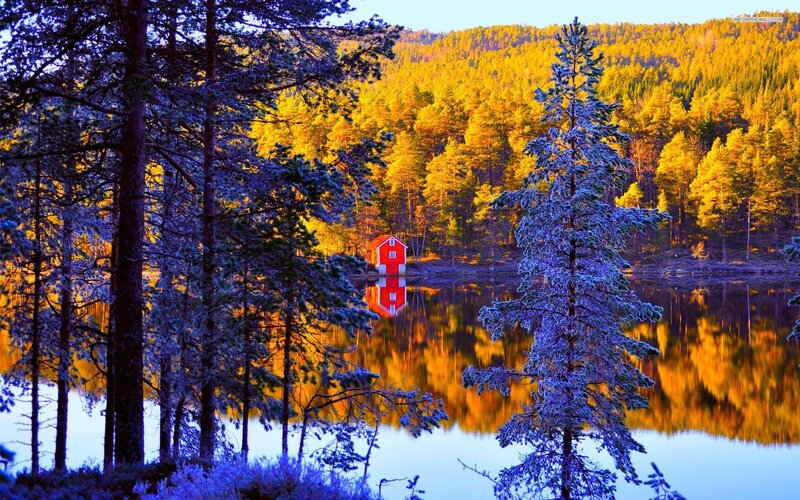Red Cabin on Lake — Yellow, Serene