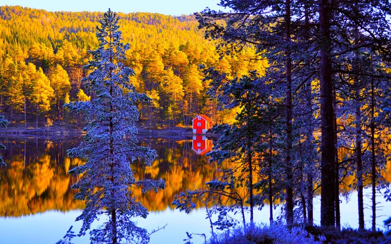Red Cabin on Lake — Yellow