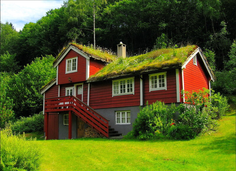 Red Cabin with Grass Roof — Serene