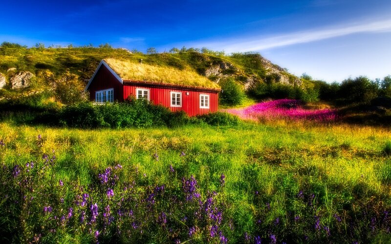 Red Cabin with Grass Roof