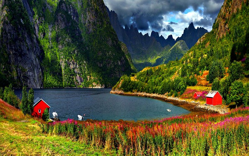 Red cabins by a fjord
