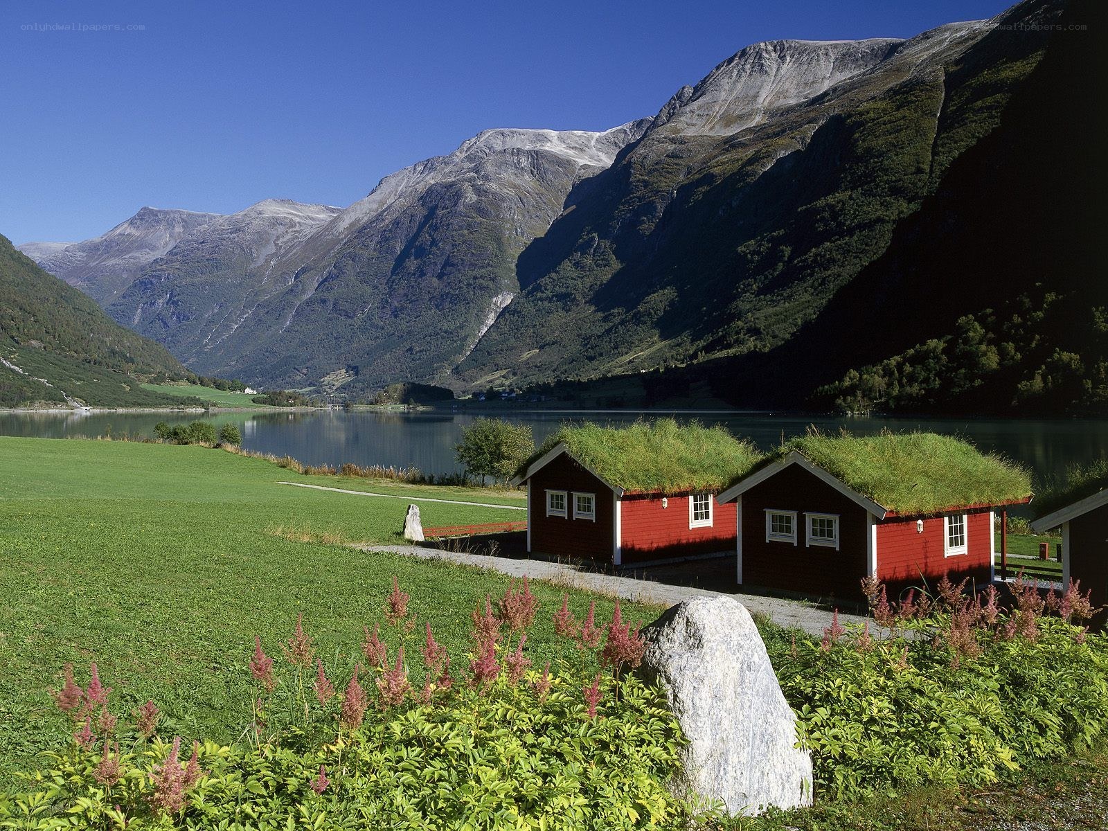 Red cabins by a fjord