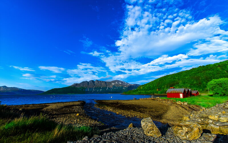 Red Cabins by Fjord