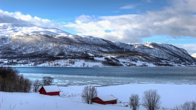 Red Cabins in Snow — White, Serene