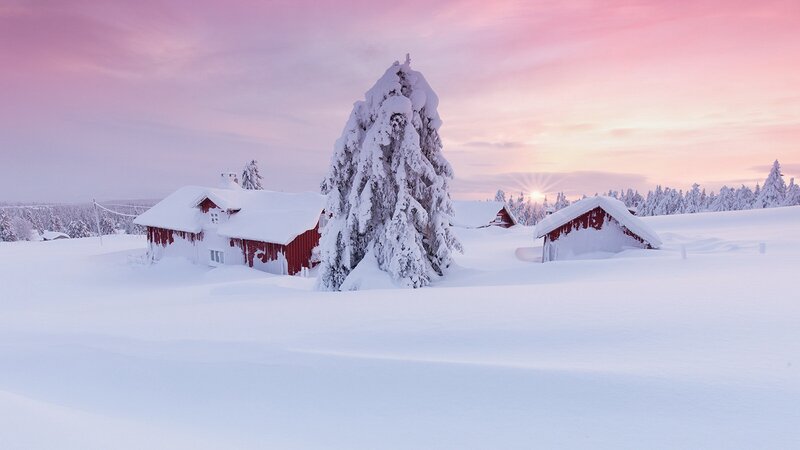 Red Cabins in Snow — White, Serene, Winter, Photograph