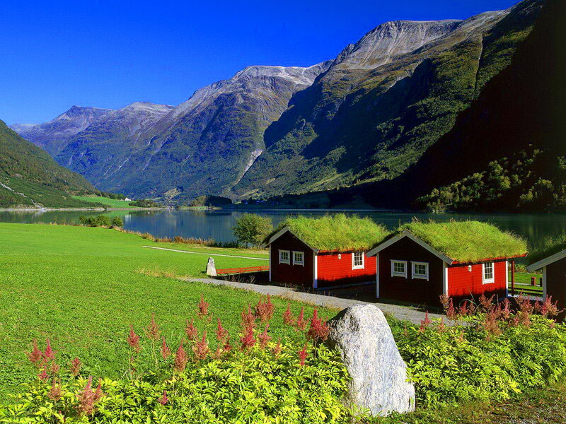 Red Cabins with Grass Roofs — Green, Serene