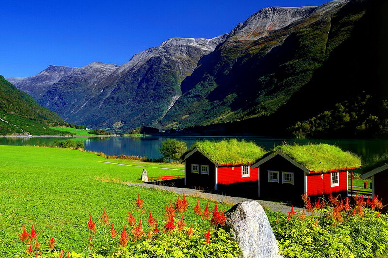 Red Cabins with Grass Roofs