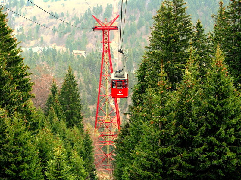 Red Cable Car in Forest