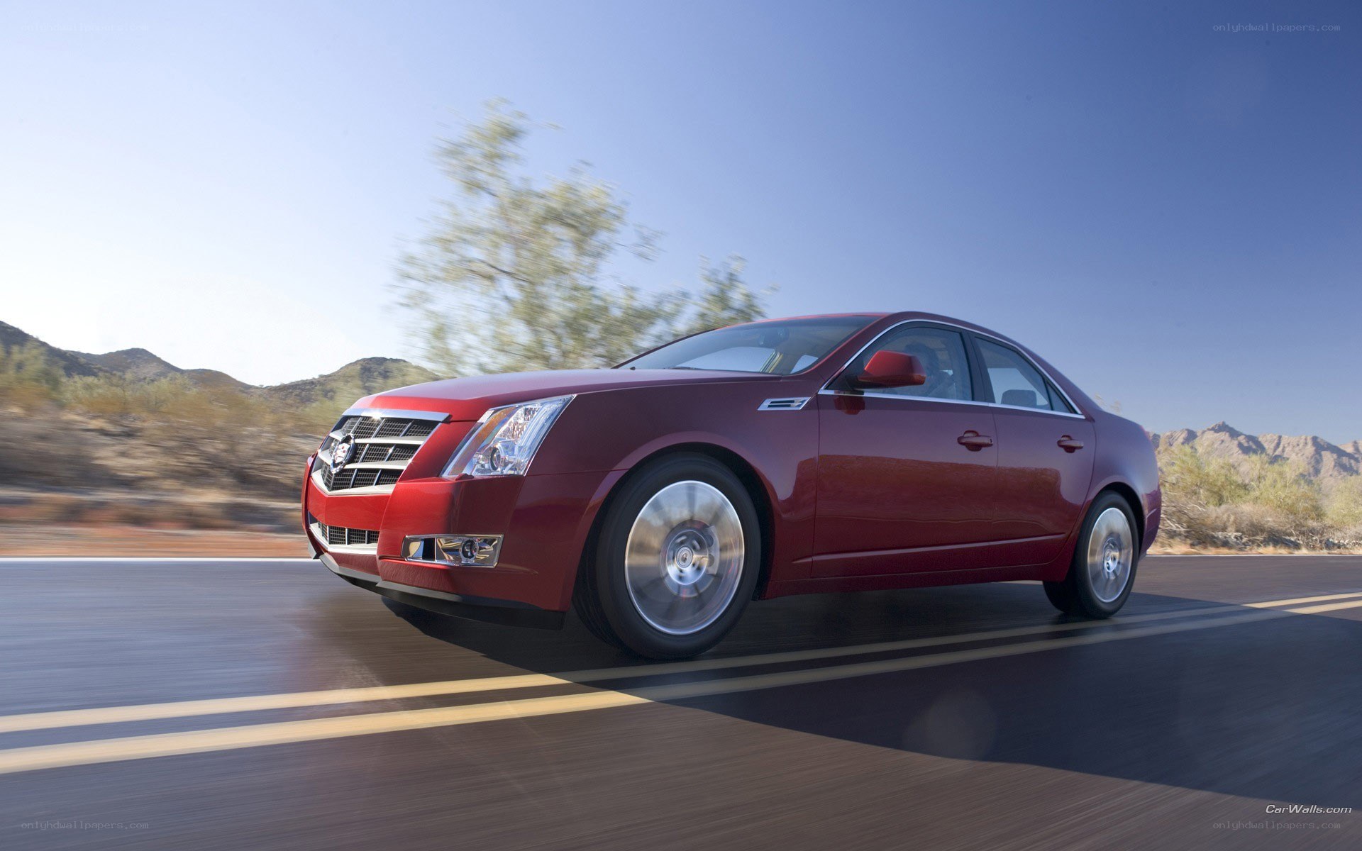 red cadillac driving on road