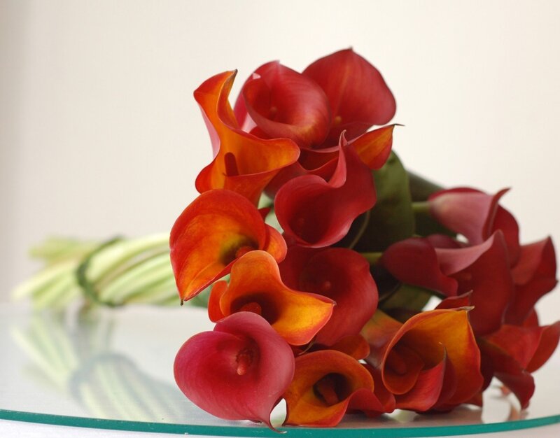 Red Calla Lilies Bouquet — Calm, Photograph