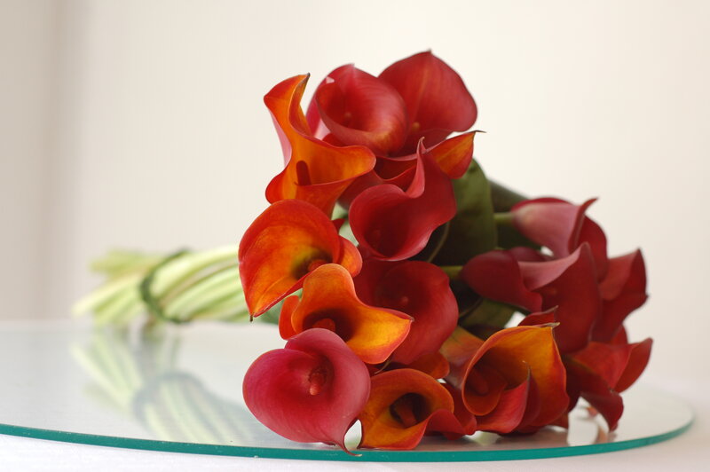 Red Calla Lilies Bouquet — Calm