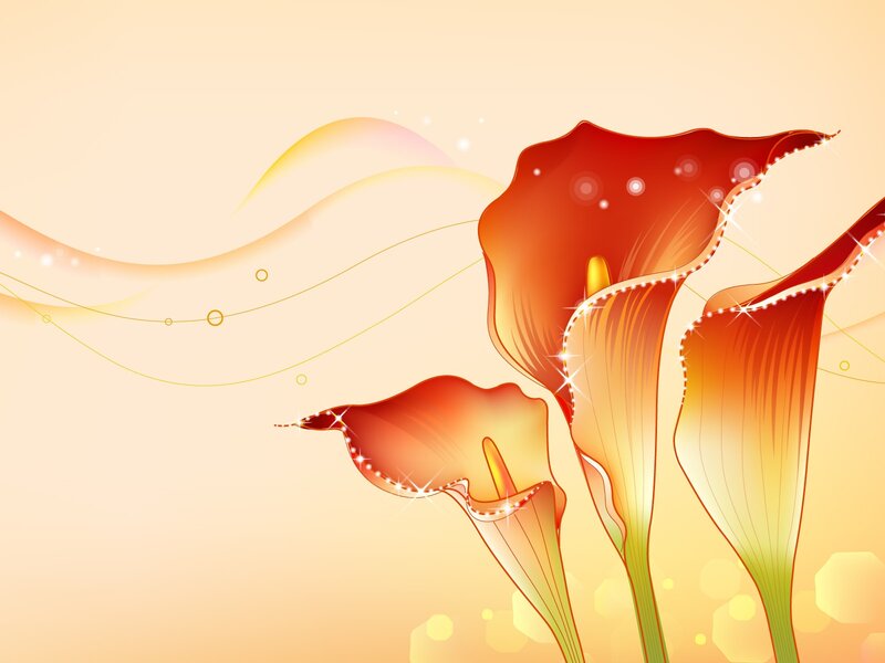Red Calla Lilies — Orange, Warm
