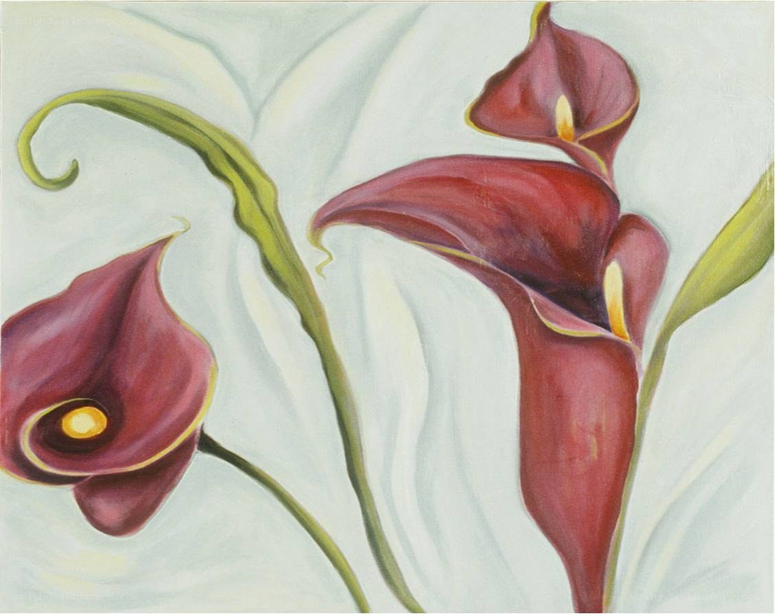 Red calla lilies painting