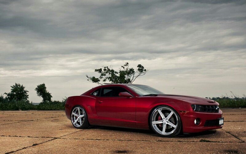 Red Camaro Car — Dramatic, Afternoon, Photograph, Tree