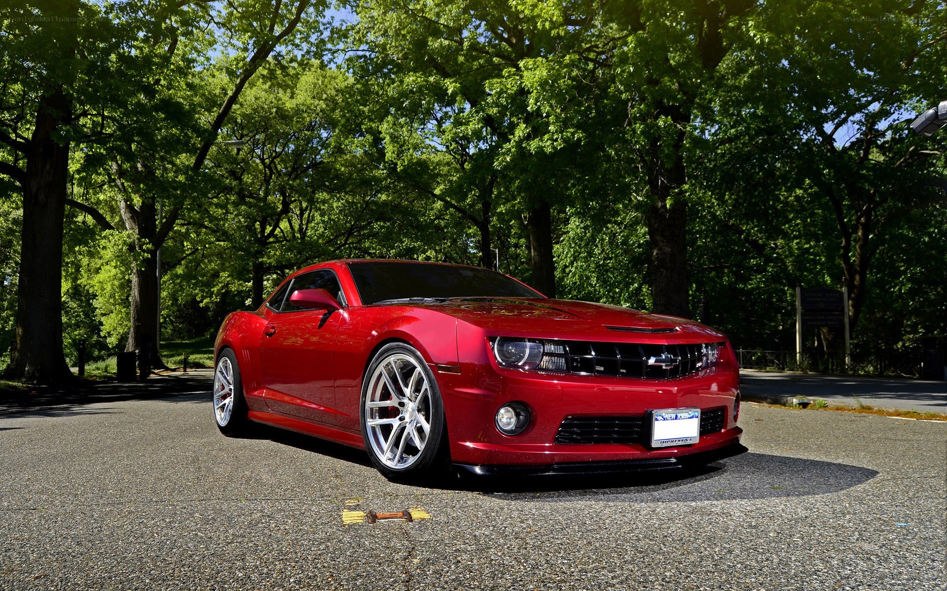 Red Camaro in a park