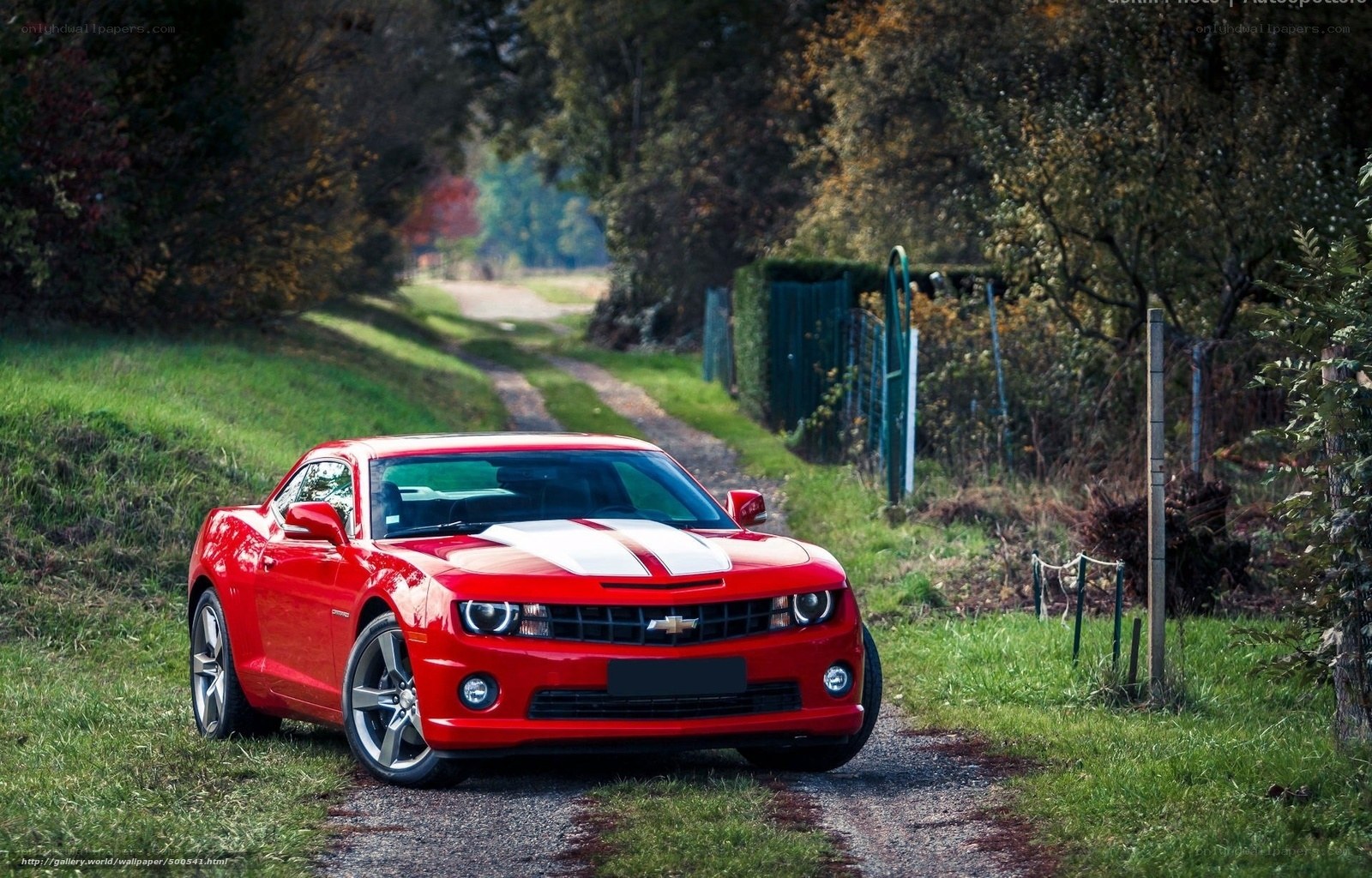 Red Camaro on a country road