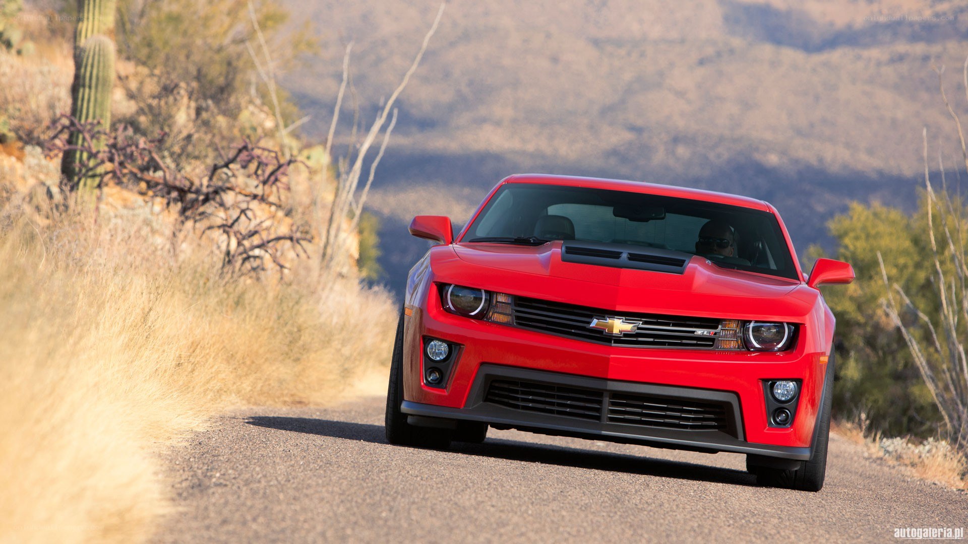Red Camaro on desert road