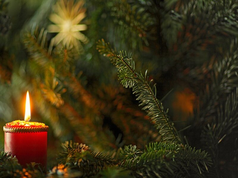Red Candle in Pine Branches