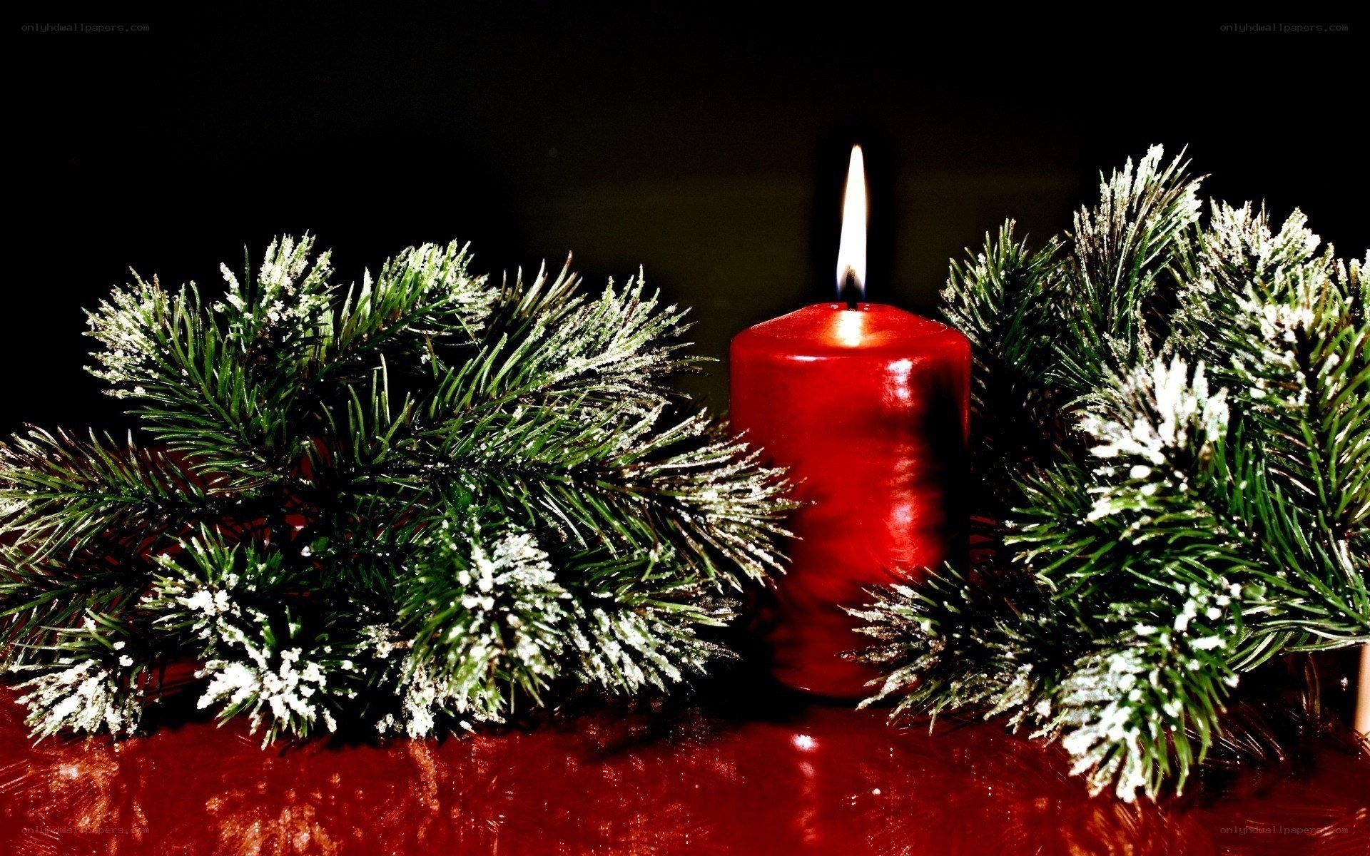 Red candle with pine branches