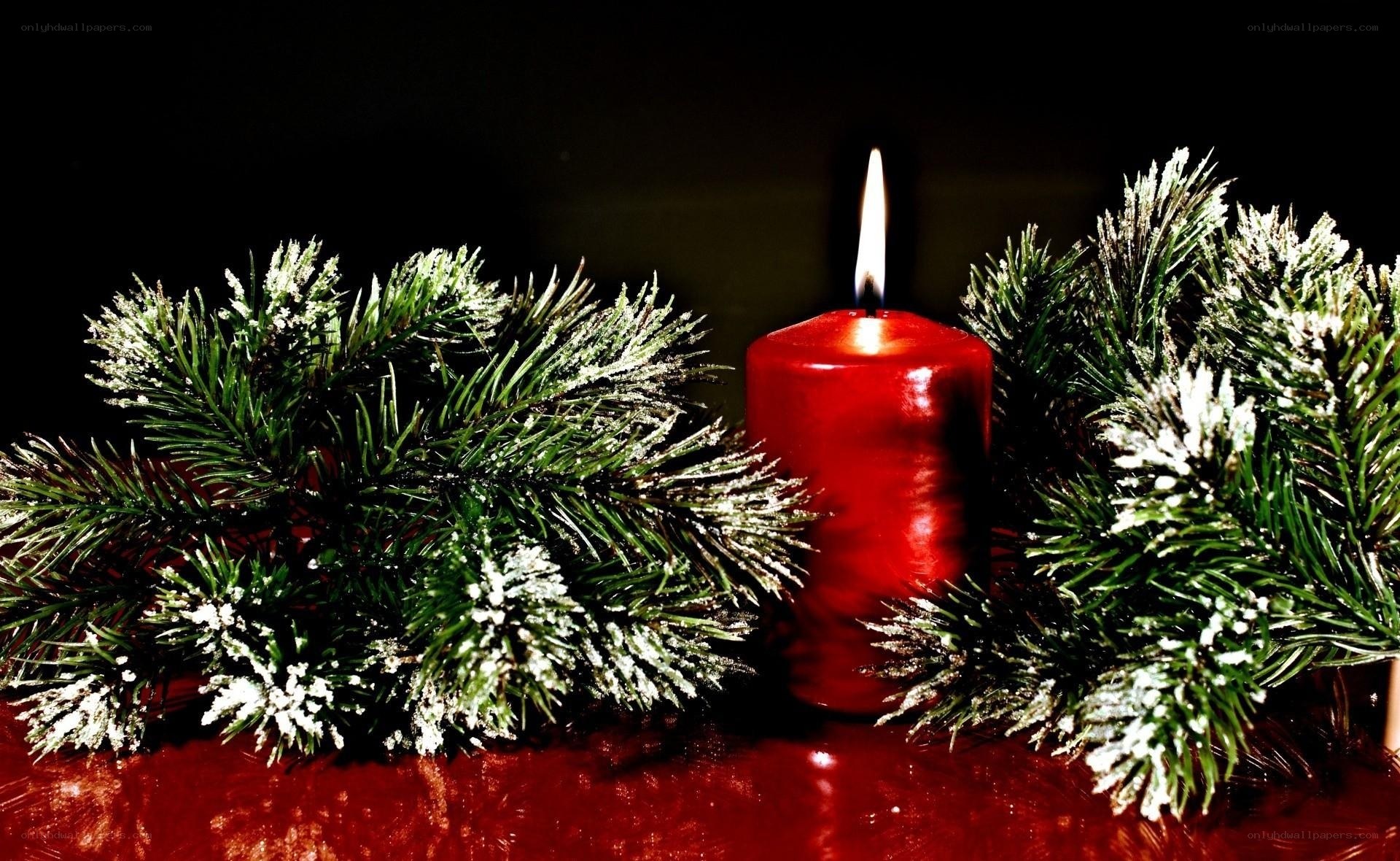 Red candle with pine branches