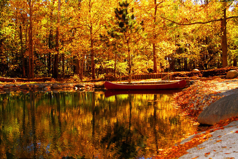 Red Canoe on Lake — Gold