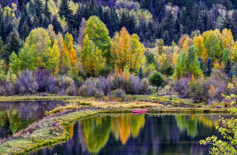 Red Canoe on Lake — Green