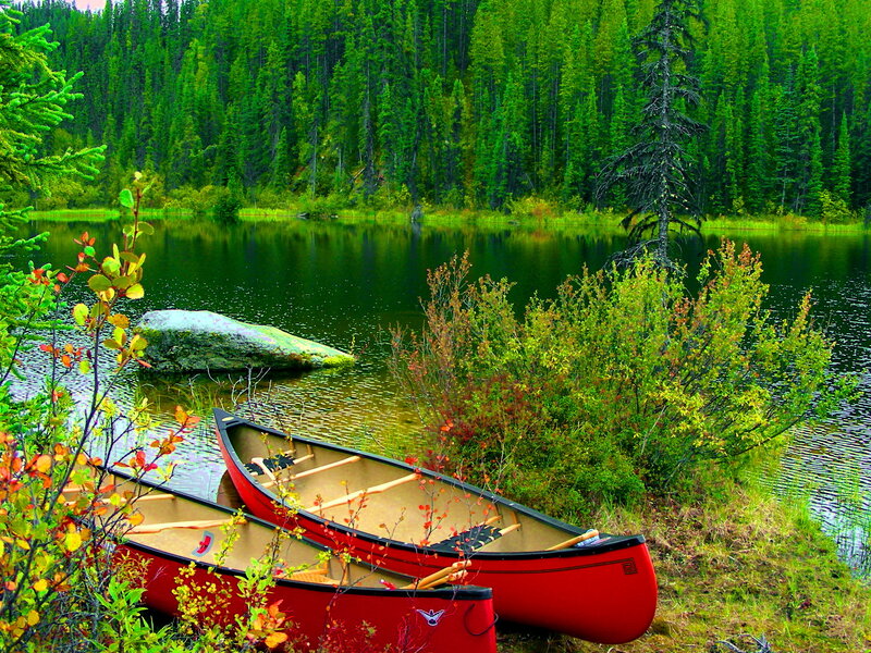 Red Canoes on Shore