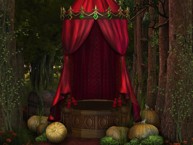 Red Canopy in Forest