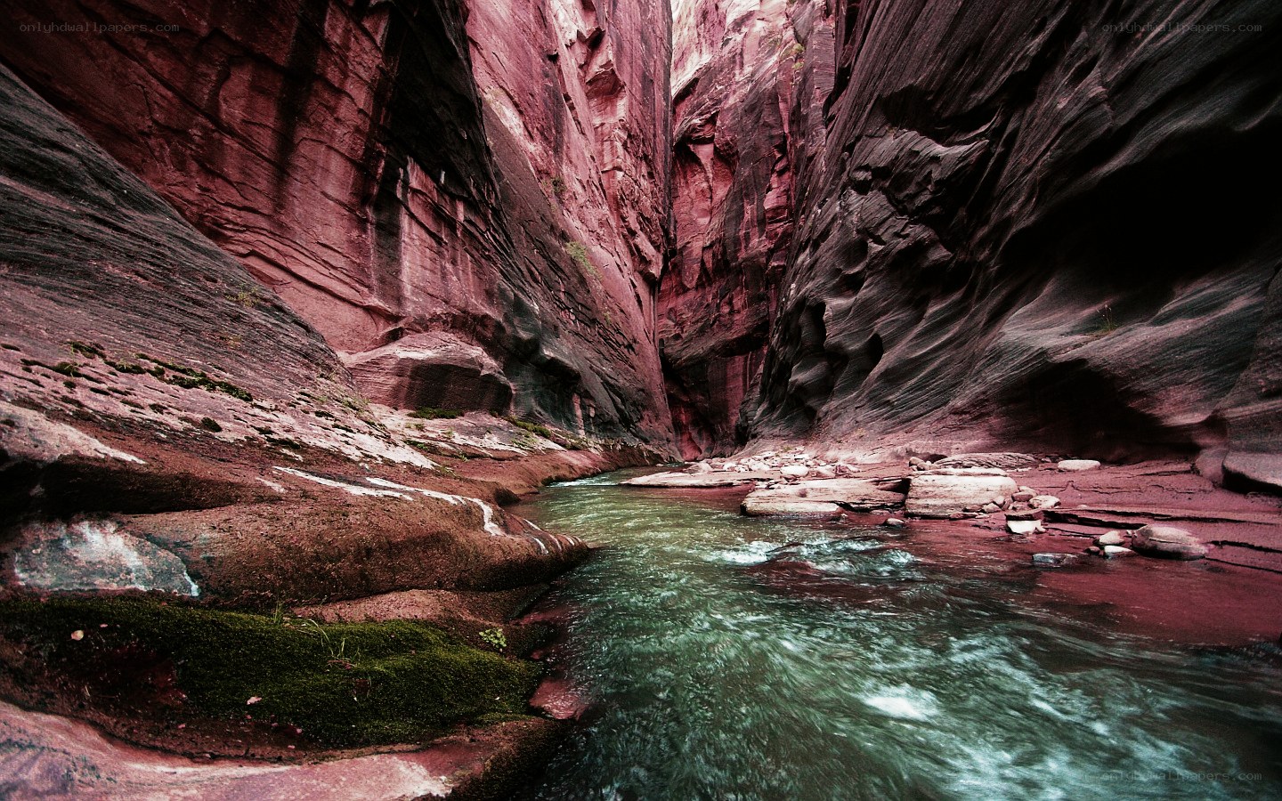 Red canyon with flowing river