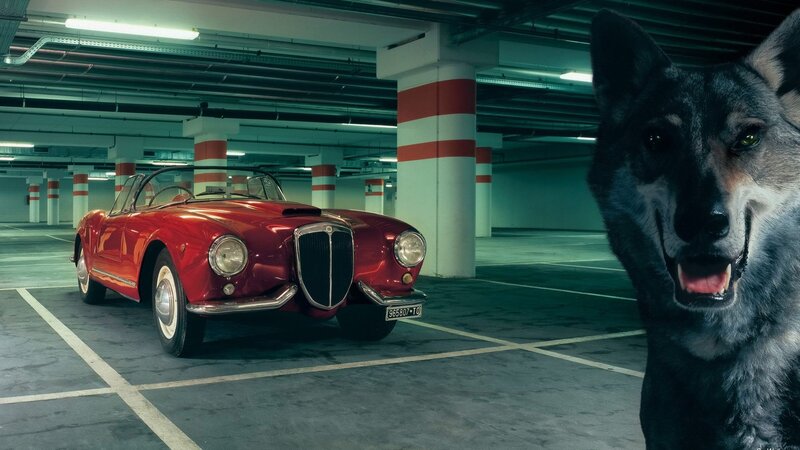 Red car and dog in garage