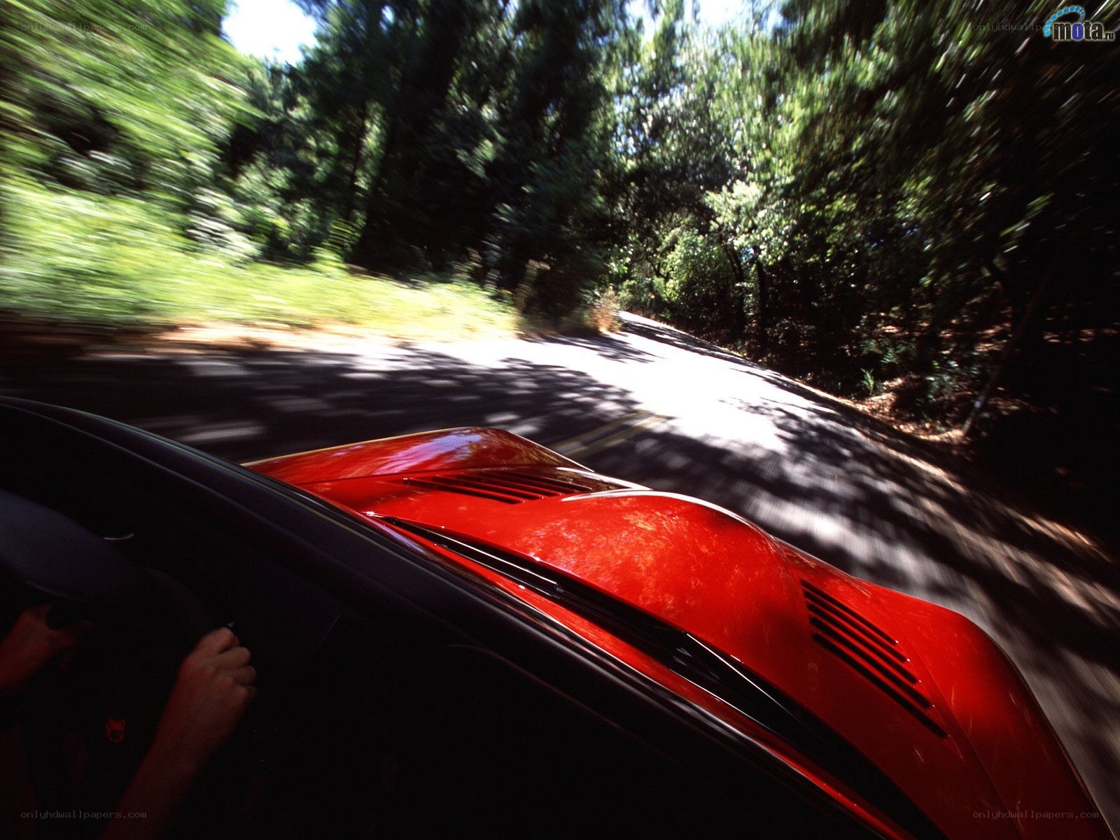 Red car driving on forest road
