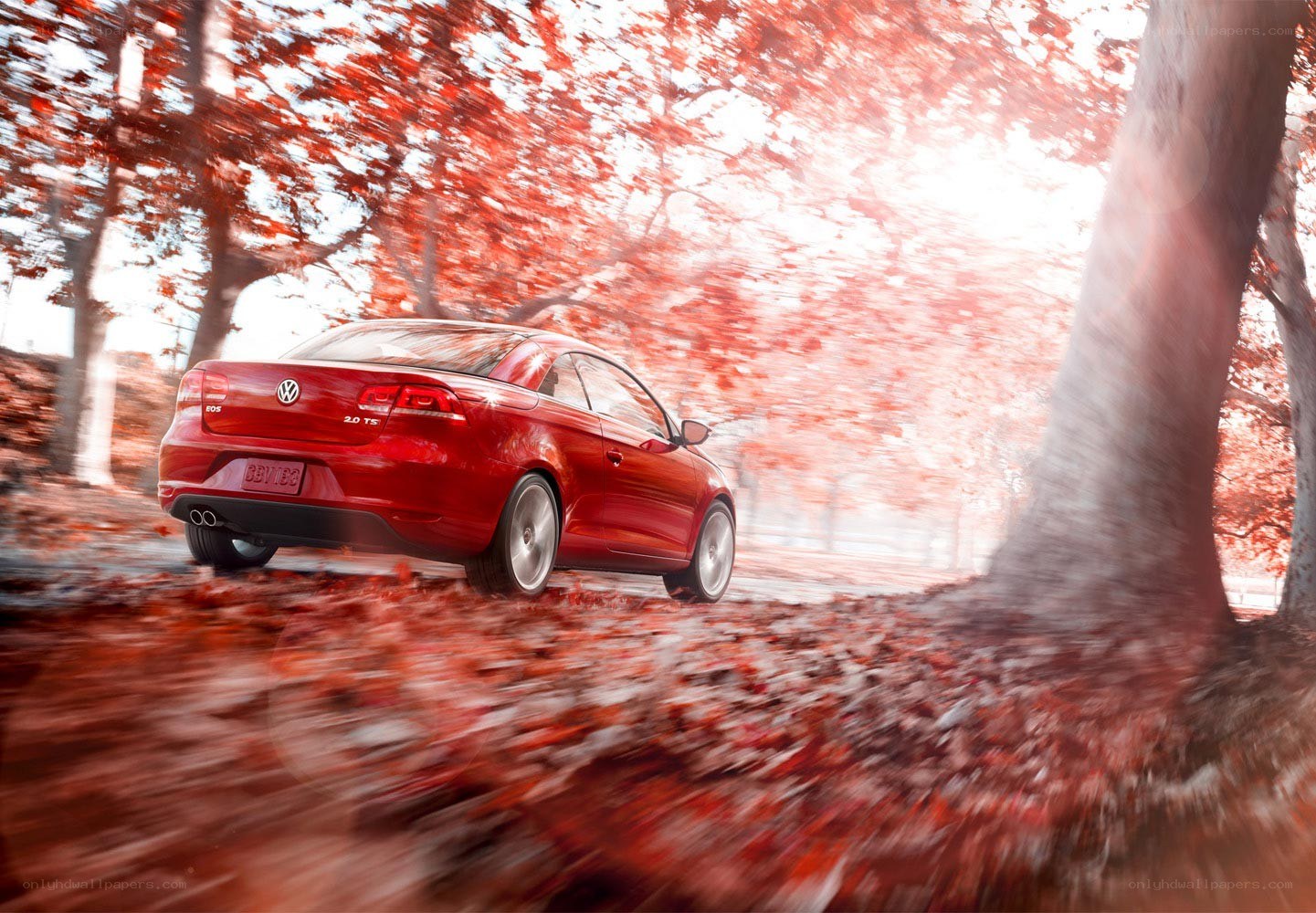 Red car driving through autumn forest